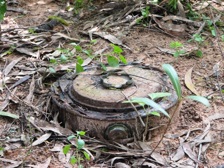 Land Mine Kills One Soldier In The Far North Region Cameroon News Agency