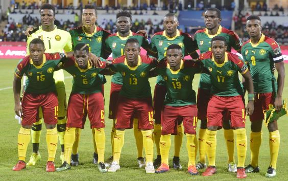 lions 3 – Cameroon News Agency