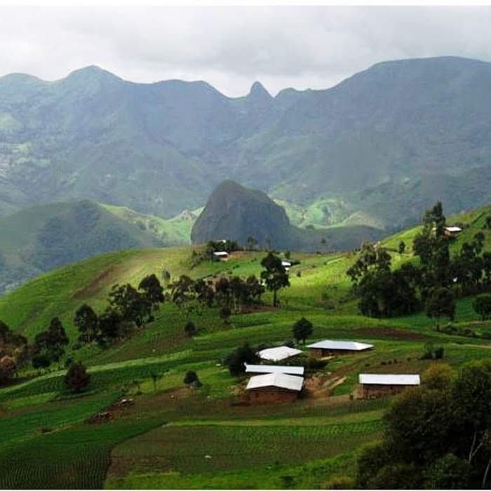 Solution to restore Mount Bamboutos landscape on farmers, population ...